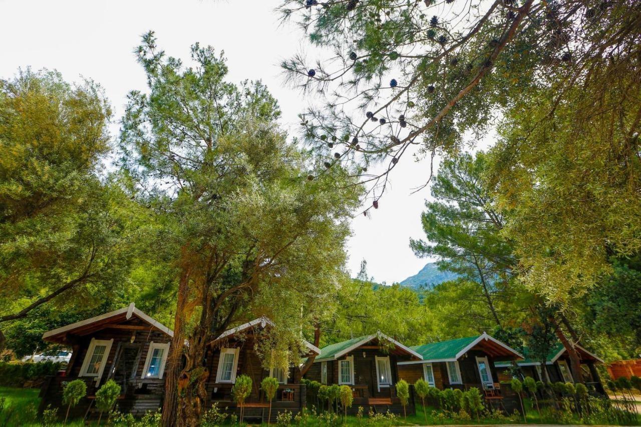 Green Pine Beach & Bungallows Хісароню Екстер'єр фото